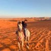 تجربة ركوب الخيل في مسقط